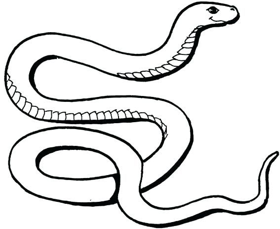 hình tô màu con rắn