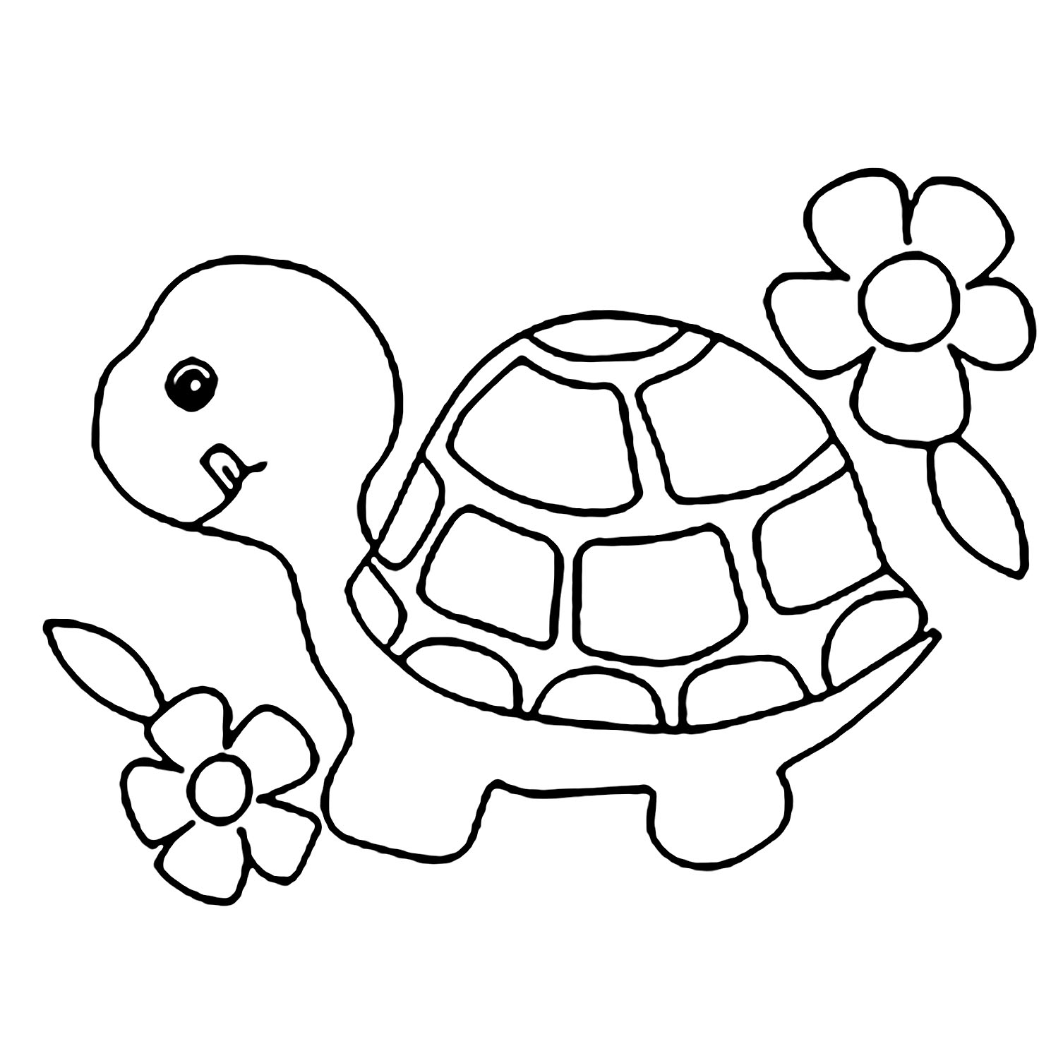 tranh cho bé tô màu con rùa