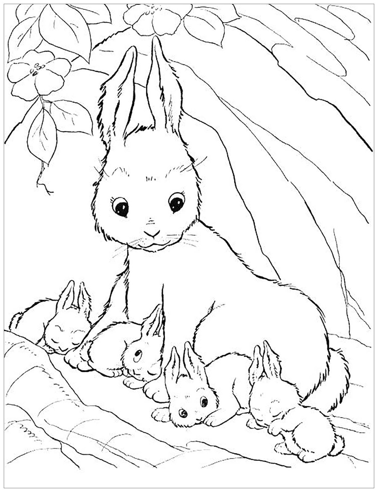 tranh tô màu gia đình thỏ