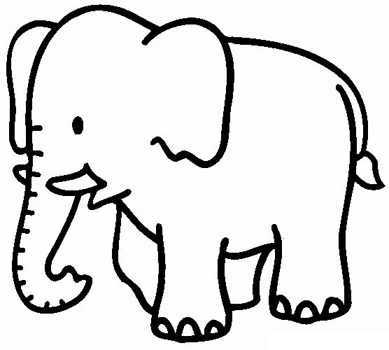 tranh tô màu con voi đẹp cho bé tập tô